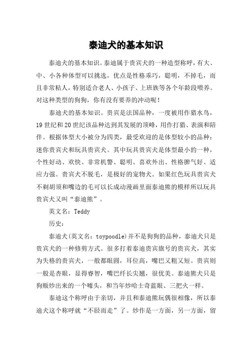 泰迪犬的基本知识