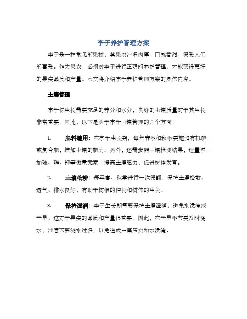 李子养护管理方案