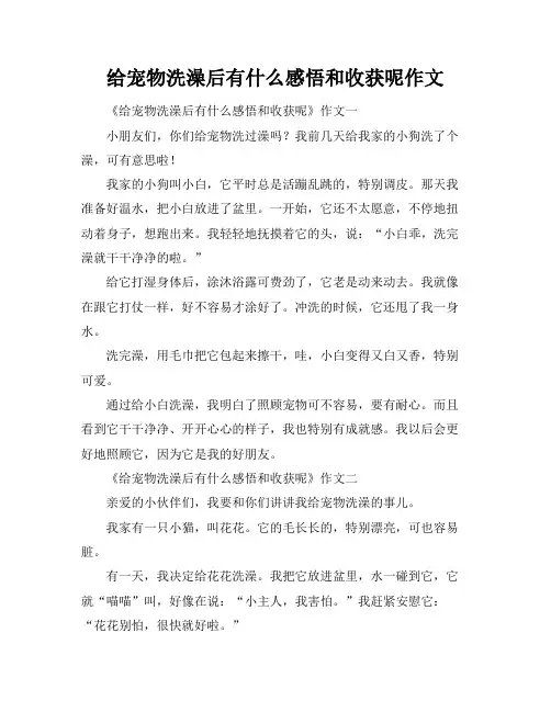 给宠物洗澡后有什么感悟和收获呢作文