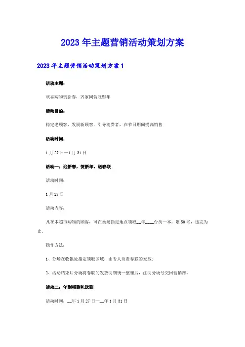 2023年主题营销活动策划方案