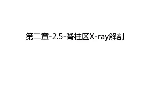 第二章-2.5-脊柱区X-ray解剖讲解学习