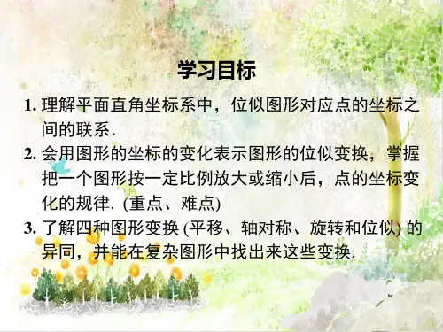 -九年级数学上册-精品教学课件22.4-第2课时--图形在平面直角坐标系中的位似变换