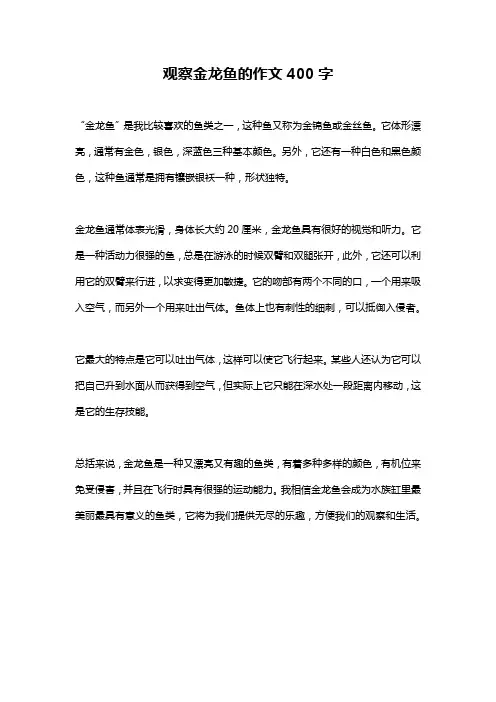 观察金龙鱼的作文400字