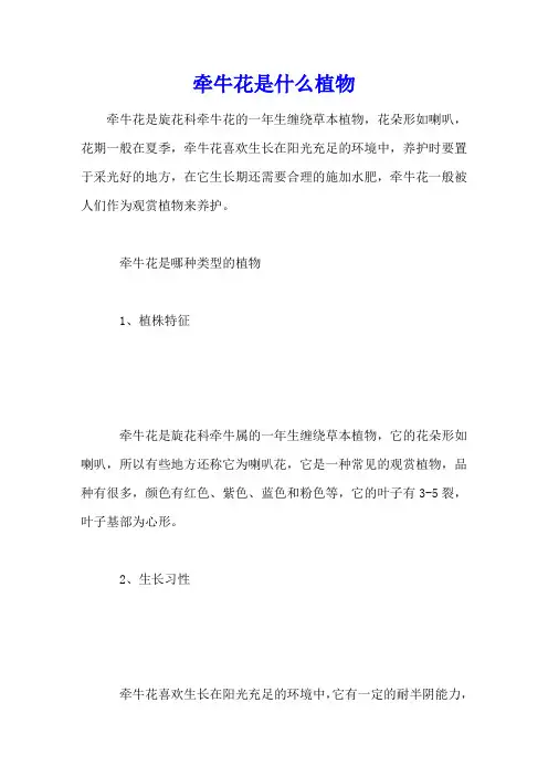 牵牛花是什么植物