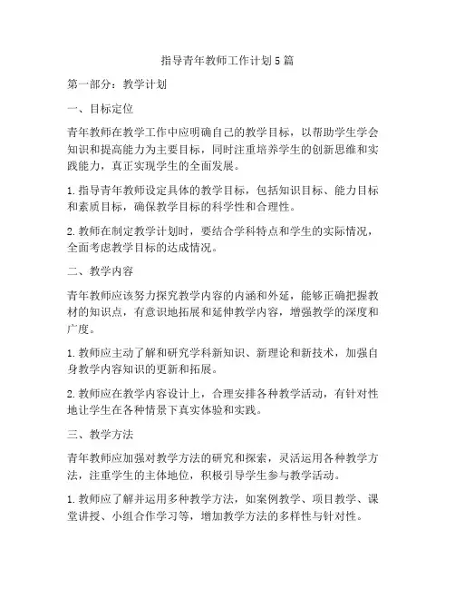 指导青年教师工作计划5篇