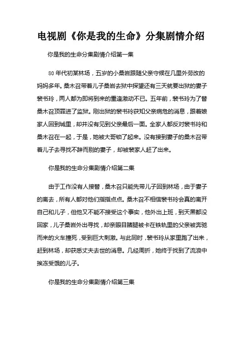 电视剧你是我的生命情节简介剧情介绍完整版