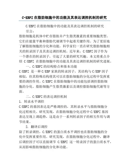 C-EBPZ在脂肪细胞中的功能及其表达调控机制的研究