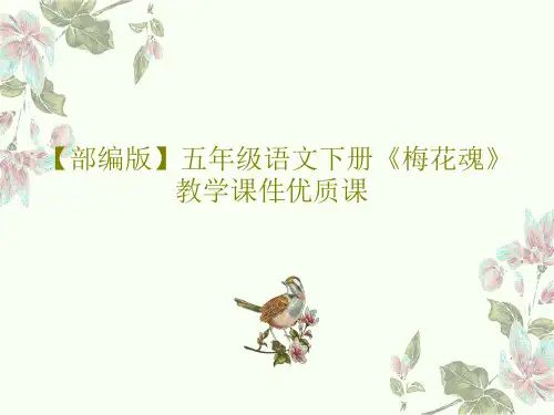 【部编版】五年级语文下册《梅花魂》教学课件优质课27页PPT