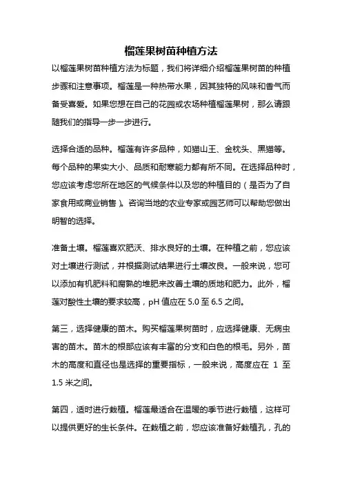 榴莲果树苗种植方法