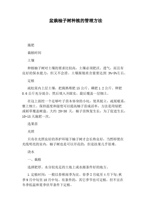 盆栽柚子树种植的管理方法