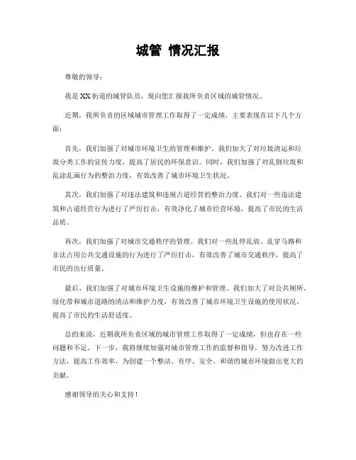 城管 情况汇报