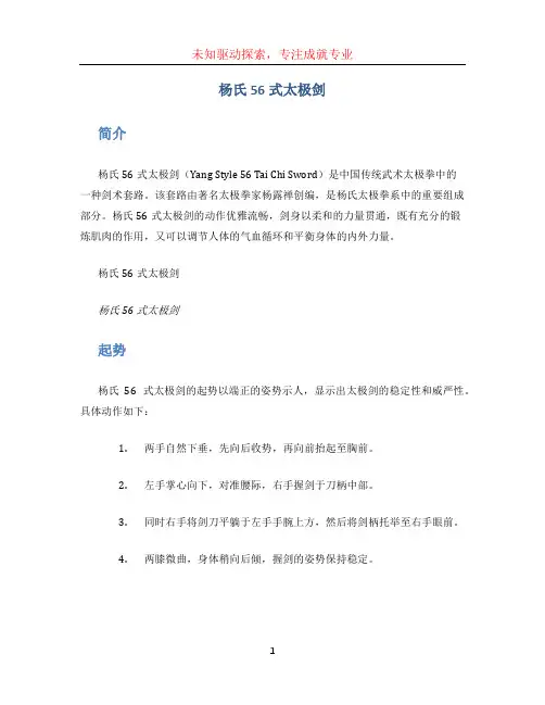 杨氏56式太极剑