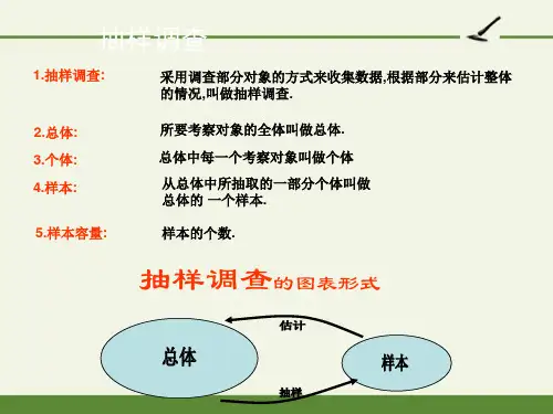 抽样调查-完整版PPT课件