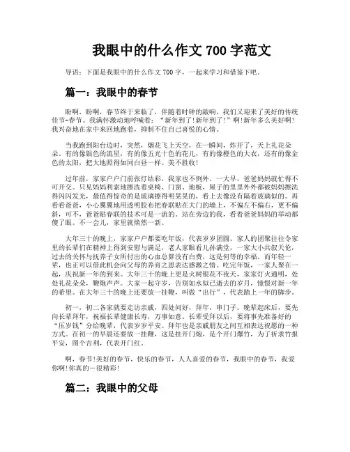 我眼中的什么作文700字范文