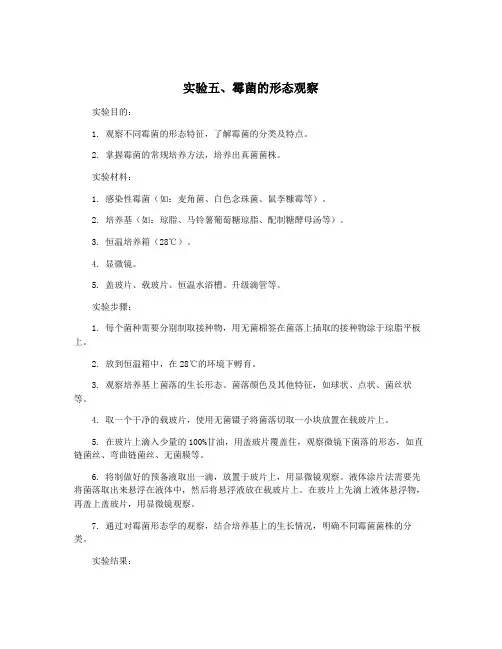实验五、霉菌的形态观察