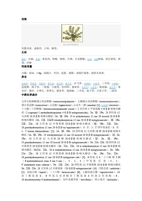 鹅不食草
