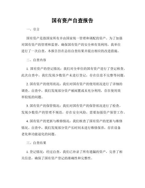 国有资产自查报告