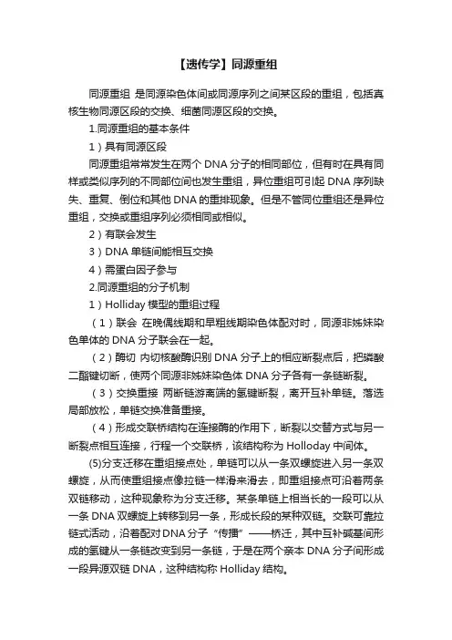 【遗传学】同源重组