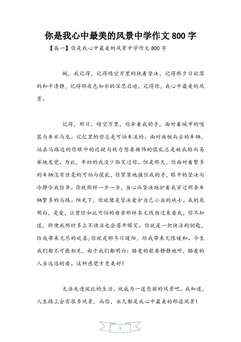 你是我心中最美的风景初中作文800字