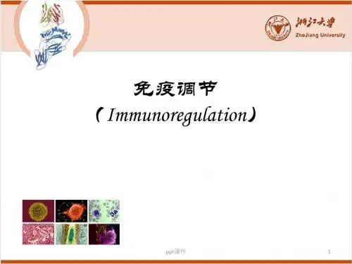 《医学免疫学》免疫调节  ppt课件