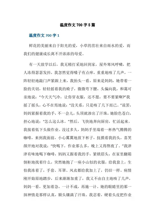 温度作文700字5篇