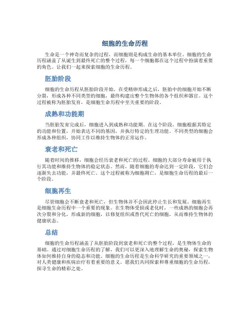 细胞的生命历程