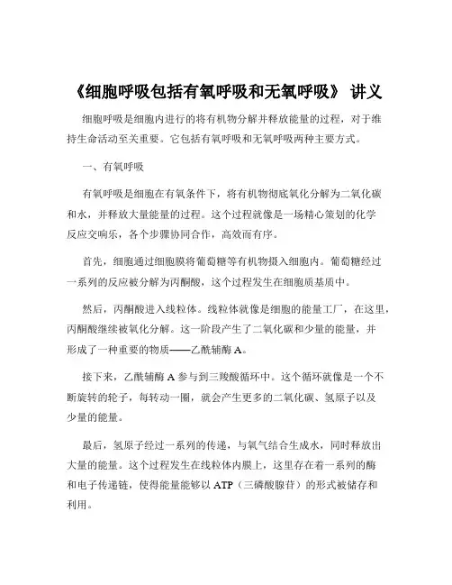 《细胞呼吸包括有氧呼吸和无氧呼吸》 讲义