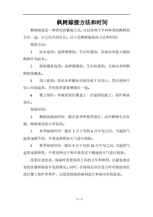 枫树嫁接方法和时间