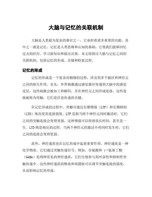 大脑与记忆的关联机制