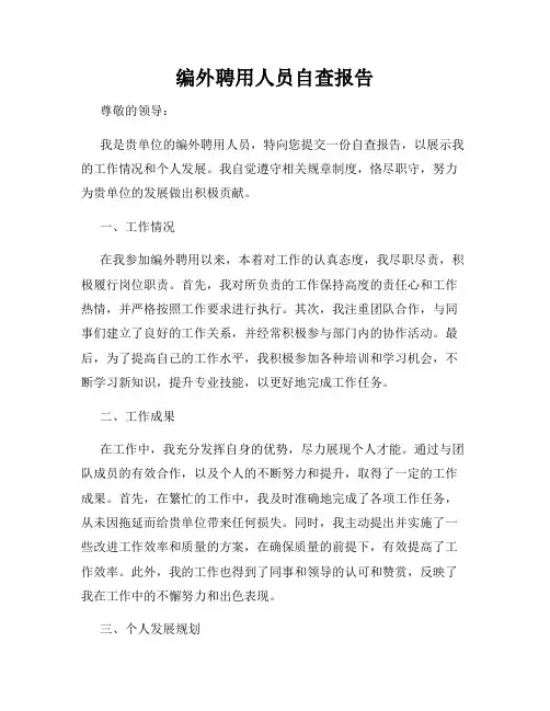 编外聘用人员自查报告