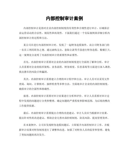 内部控制审计案例