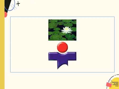 小儿脑电图分析