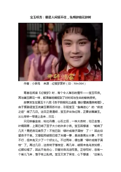 宝玉叹杏：最是人间留不住，朱颜辞镜花辞树
