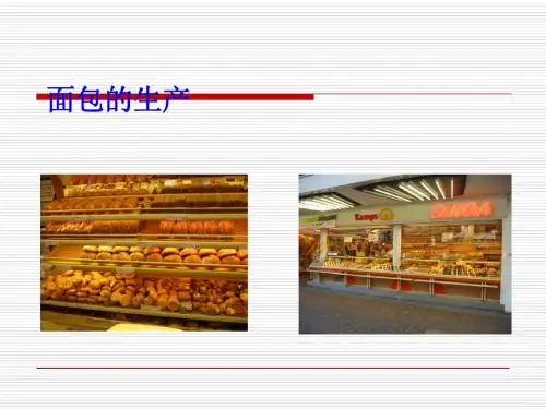 面包烘焙工艺原理培训课件(共 48张PPT)
