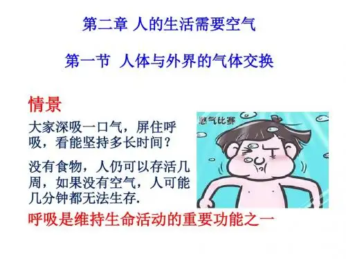 七下3.2.1人体与外界的气体交换第一课时(28ppt)