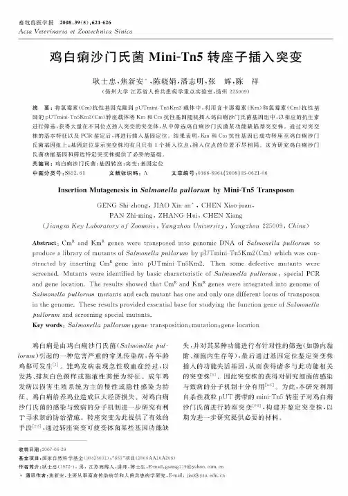 鸡白痢沙门氏菌Mini-Tn5转座子插入突变
