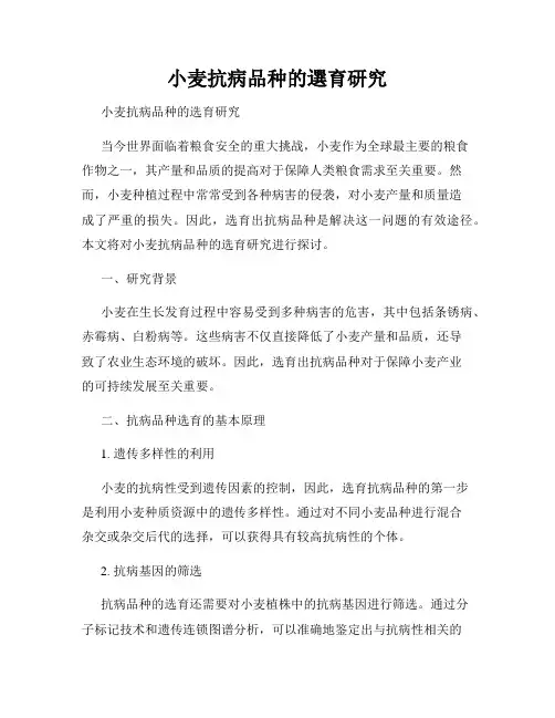 小麦抗病品种的选育研究