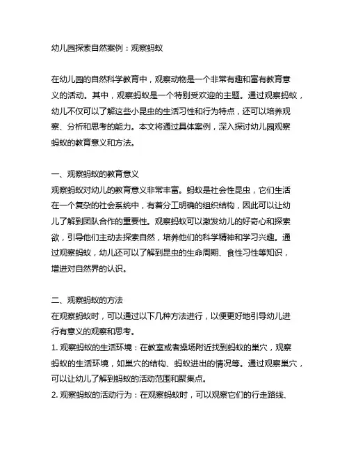 幼儿园探索自然案例：观察蚂蚁