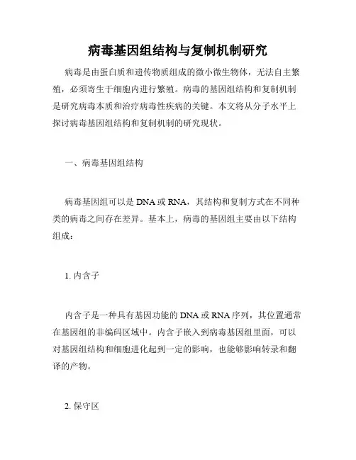 病毒基因组结构与复制机制研究