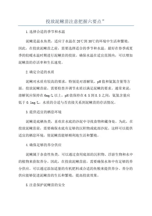 投放泥鳅苗注意把握六要点”