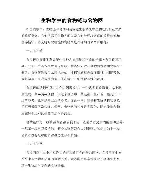 生物学中的食物链与食物网