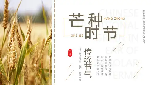中国风传统节气之芒种PPT模板