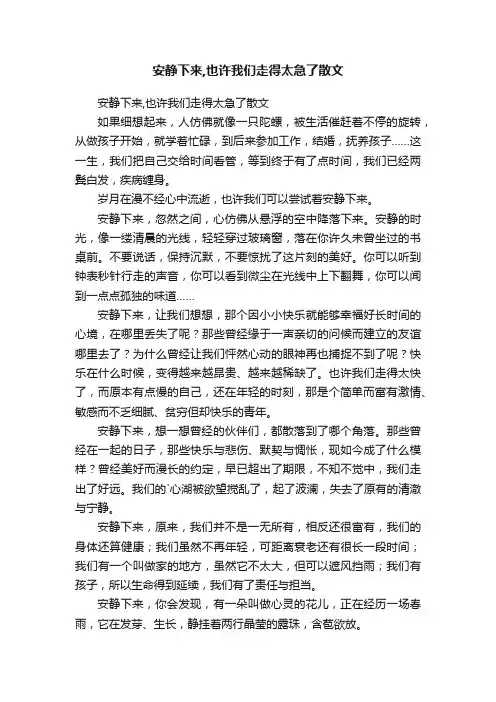 安静下来,也许我们走得太急了散文