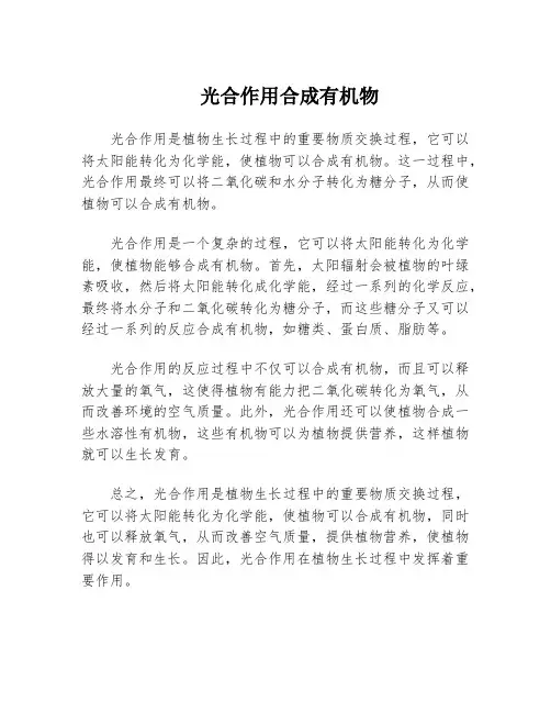 光合作用合成有机物