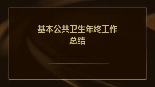 基本公共卫生年终工作总结PPT