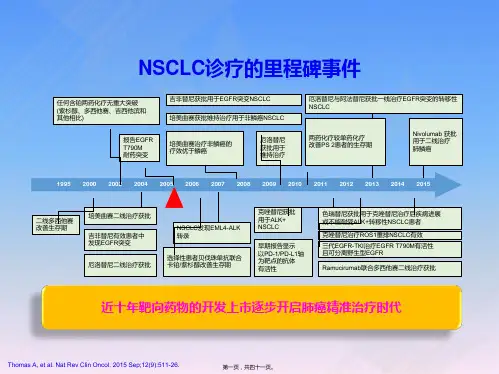 晚期非小细胞肺癌诊疗现状