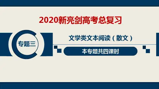 (第一课时)20语文新亮剑PPT专题3“课堂精讲“