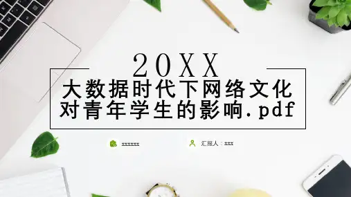 大数据时代下网络文化对青年学生的影响