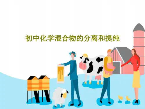 初中化学混合物的分离和提纯PPT29页