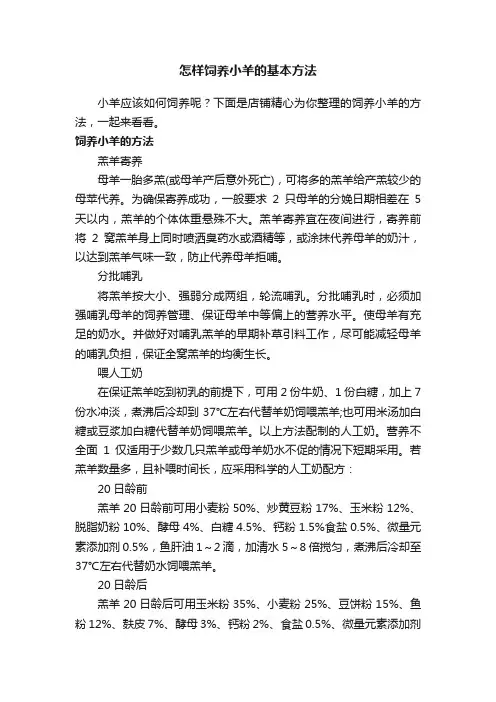 怎样饲养小羊的基本方法